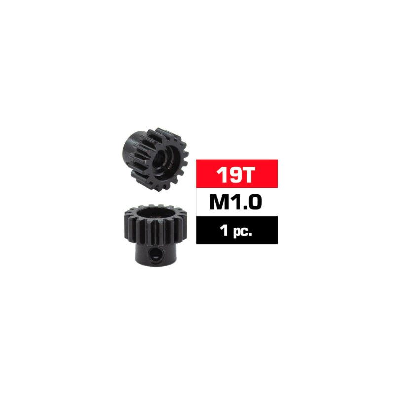 Pignone M1 19 T